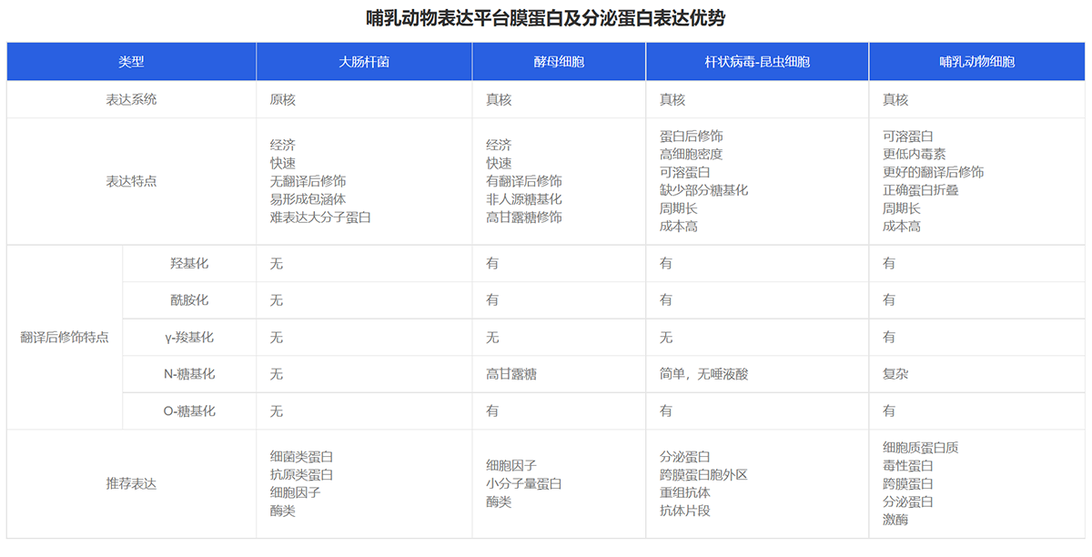 哺乳動(dòng)物蛋白表達(dá)平臺(tái)